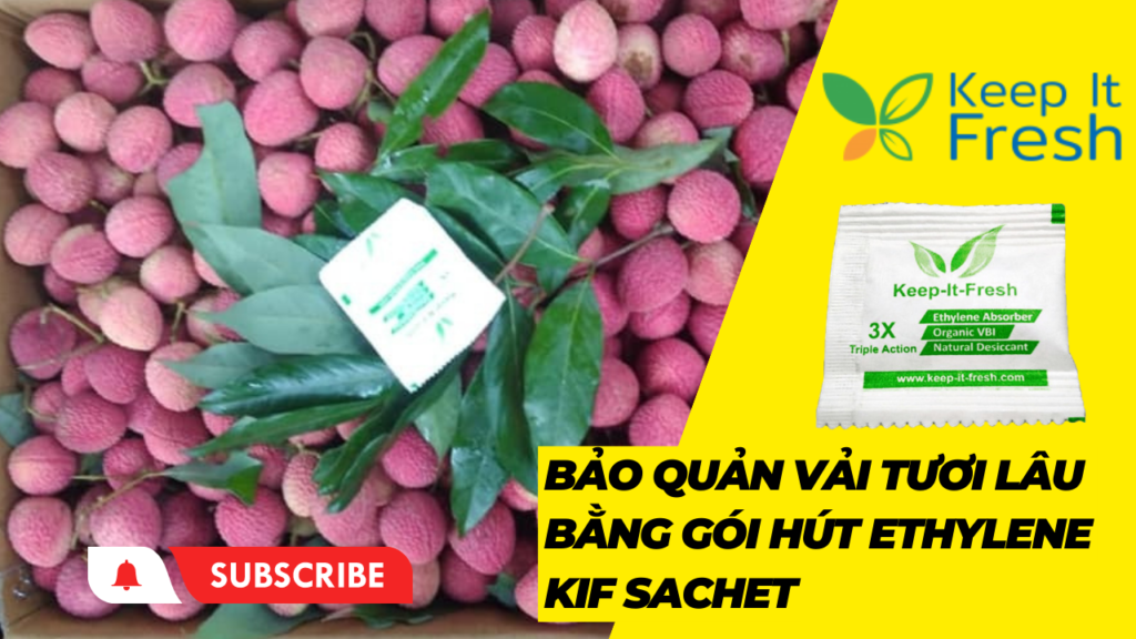 BẢO QUẢN VẢI TƯƠI LÂU BẰNG GÓI HÚT ETHYLENE KIF sACHET